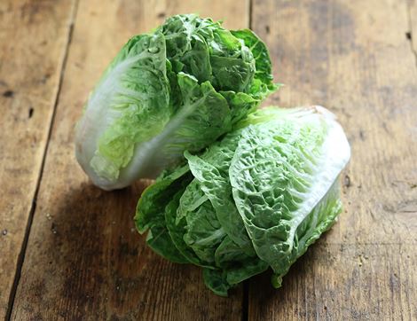 organic lettuce mini romaine