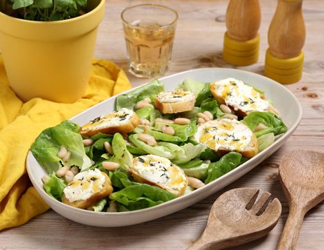Seasonal Salad Recipe Kit, Organic