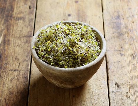 Broccoli Sprouts, Organic, Sky Sprouts (100g)