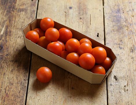 organic english cherry tomatoes