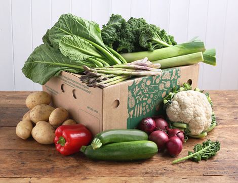 medium very veggie box