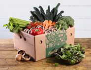 Super Speedy Veg Box, Organic