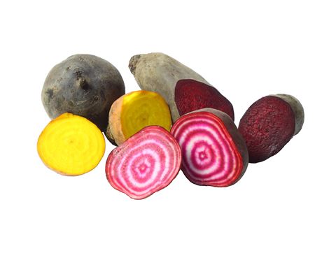 The Beetroot Collection (4 pieces)