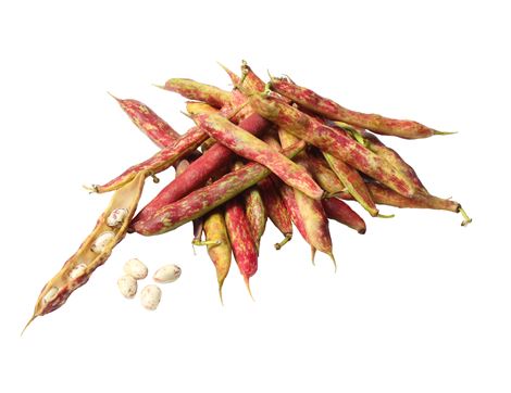 Borlotti Beans (400g)