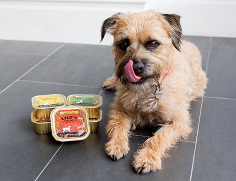 Lamb Supper for Dogs, Organic, Lily's Kitchen (150g)