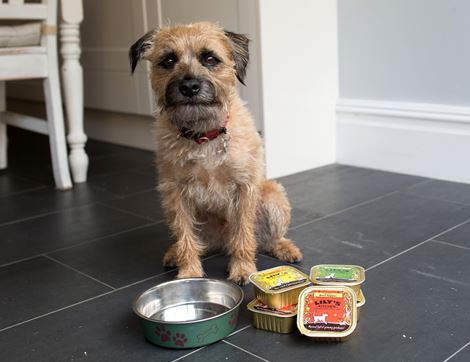 Lamb Supper for Dogs, Organic, Lily's Kitchen (150g)