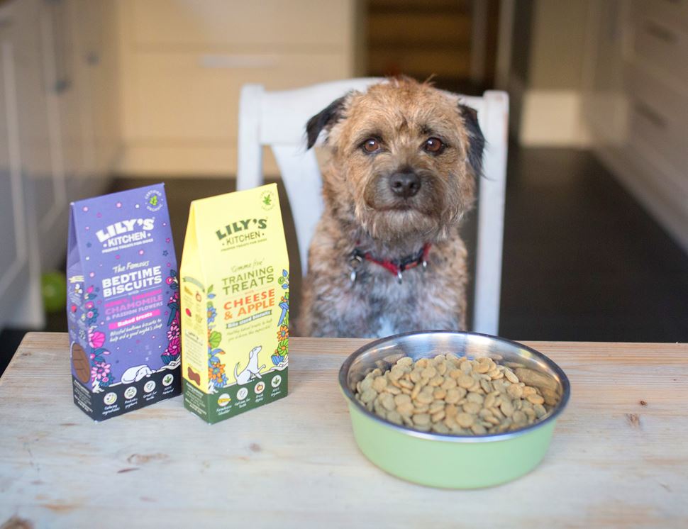 organic dog training treats