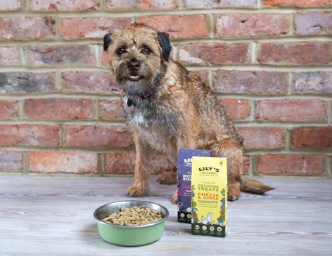Bedtime Biscuits for Dogs, Organic, Lily's Kitchen (100g)