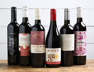 Red Wine Collection (6 bottles)