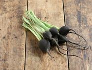bunched black radish