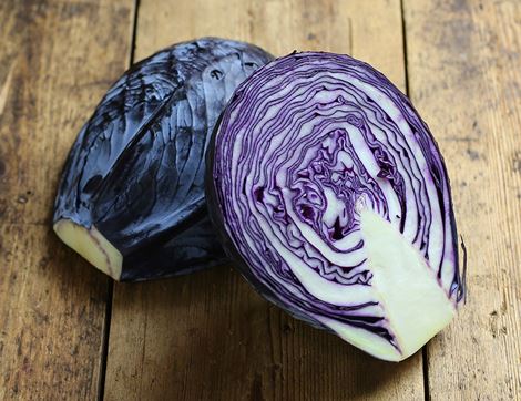 Red Cabbage, Organic