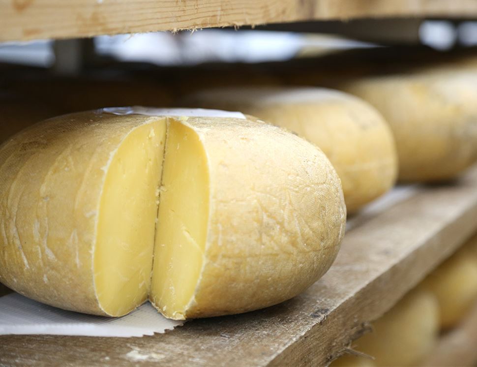 monthly organic cheese club