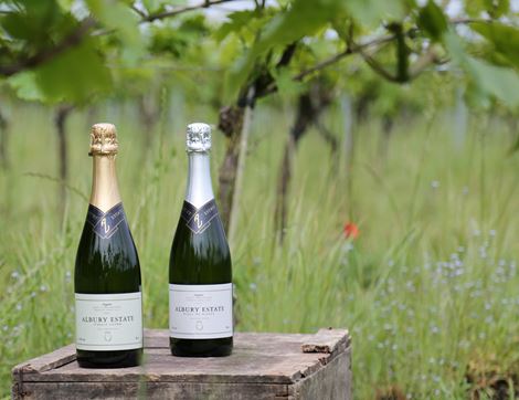 Albury Estate Classic Cuvée, English Sparkling Wine, Organic, 2015 (75cl)