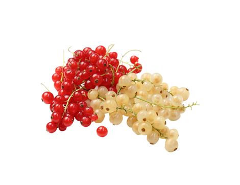 Mixed Red & White Currants, Organic (125g)