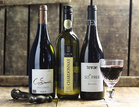 Terrae Garnacha Bodegas Tempore No Added Sulphur (75cl)