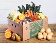 Medium Magnificent Mixed Box, Organic