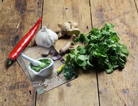 Comfort & Spice Pesto Kit, Organic