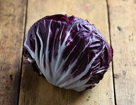 radicchio organic