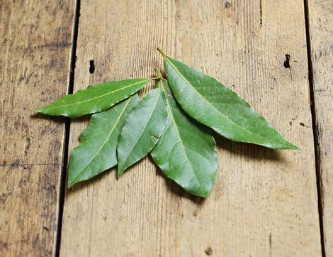 Bay Leaves, Organic (5 leaves)