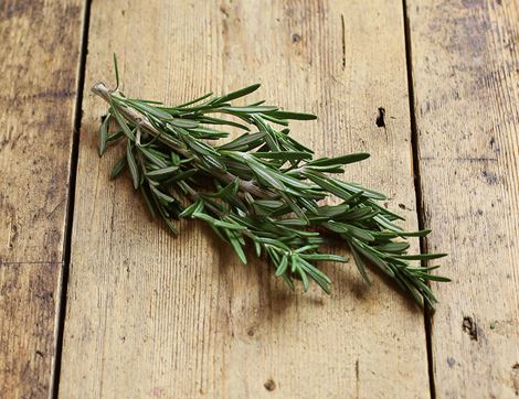 organic rosemary