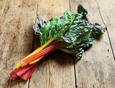 organic rainbow chard