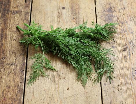 organic dill 20g