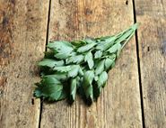Lovage, Organic (10g)