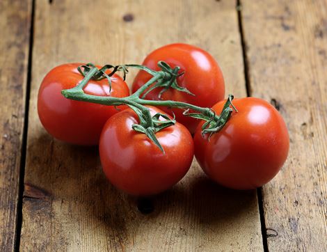 organic vine tomatoes