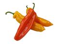 Sweet Bite Peppers Sweet Bite Peppers