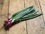 Spring Onions, Red, Organic (bunch)