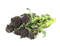 Purple Sprouting Broccoli