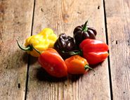 English Habanero Chillies, Organic (100g)