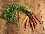 organic bunched rainbow carrots