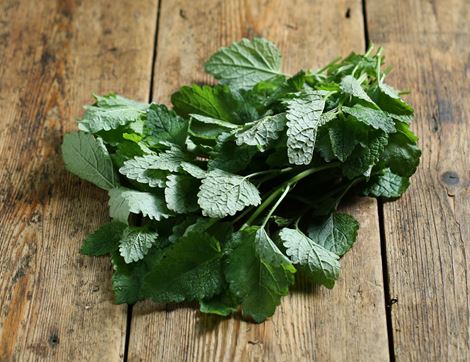 Lemon Balm, Organic (30g)