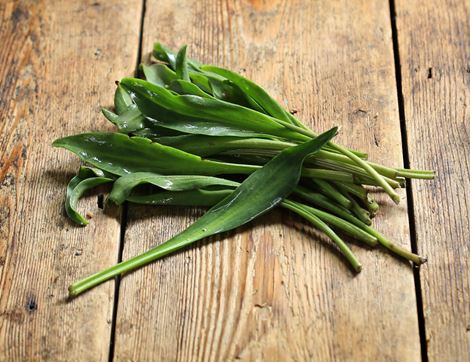 Sea Aster, Wild (50g)
