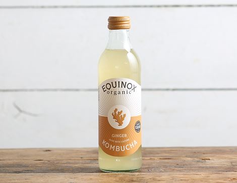 organic ginger kombucha equinox