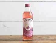 organic wild berry kombucha equinox