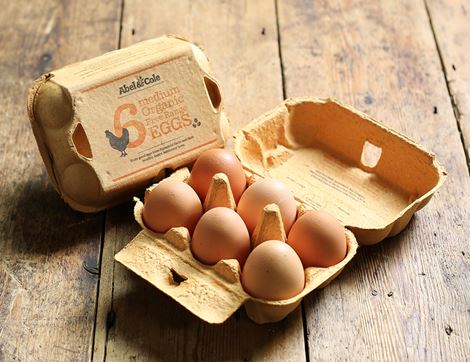 Eggs, Organic Free Range (6 medium)