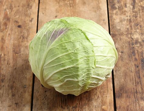 January King Cabbage, Organic