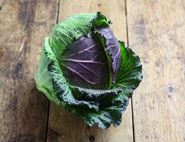 January King Cabbage, Organic