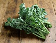 Hungry Gap Kale, Organic (300g)
