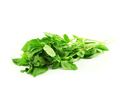 Basil Basil