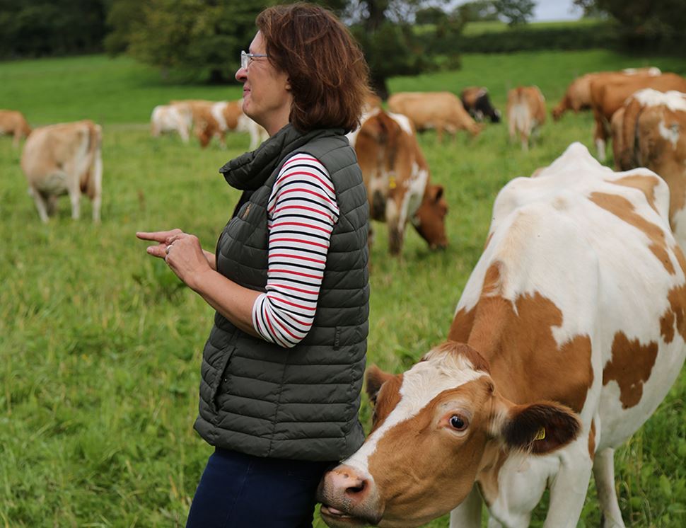 Brown Cow Organics