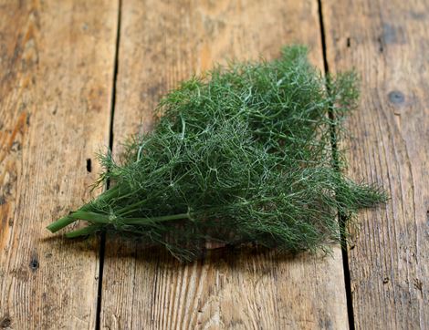Wild Fennel (30g)
