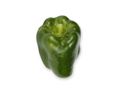 Green Pepper