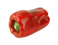 Red Pepper