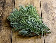 Wild Rock Samphire (100g)