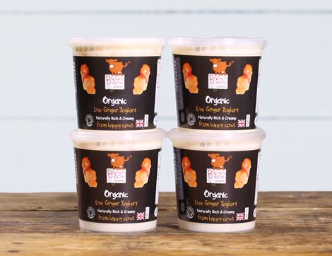 Ginger Yogurt, Organic, Brown Cow Organics (4 x 145g)