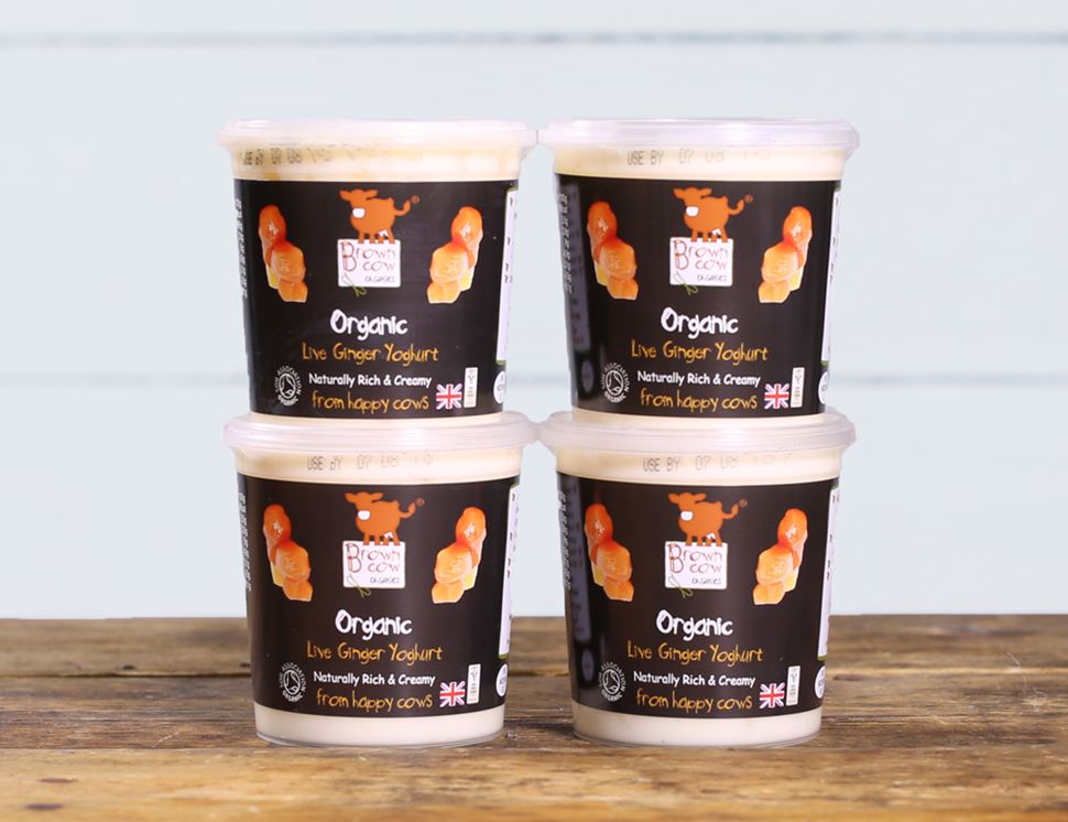 Ginger Yogurt, Organic, Brown Cow (4 x 145g)