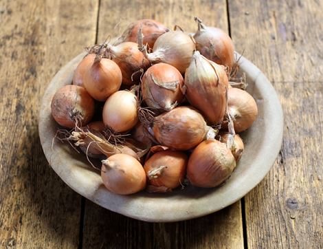 Pickling Onions, Organic (1kg)